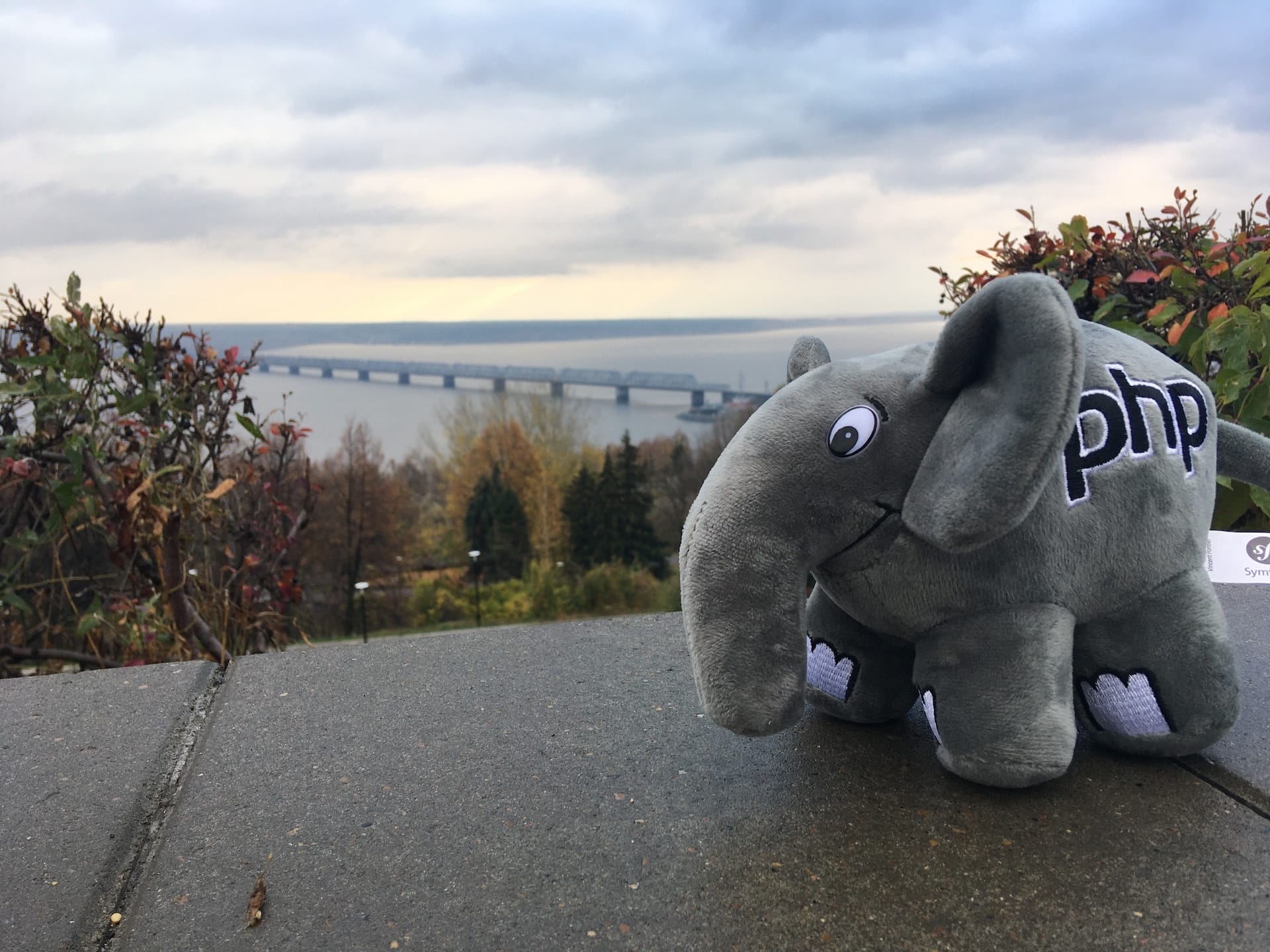 Рассказал о сообществе ulskPHP на Хабре